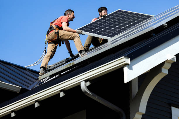 Best Asphalt Shingle Roofing  in Durand, IL